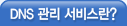  dns 